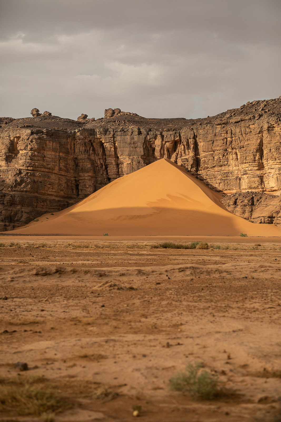 Human & Nature  outoftime 55